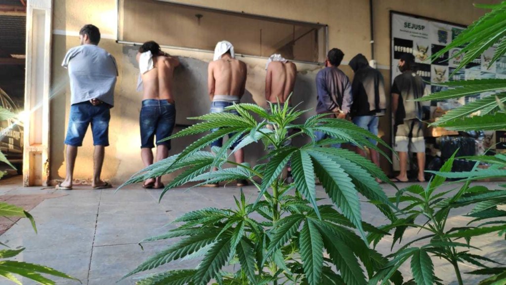 4d7126d3274f2ea8e5db07e5b6500648a6853265