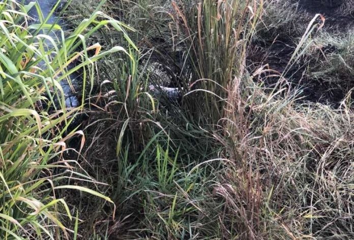 whatsapp-image-2021-04-19-at-174742-696x473-1