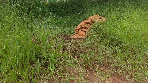 pxl-20230210-113607037-1