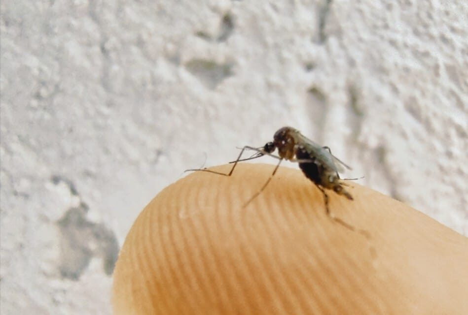 whatsapp-image-2023-02-09-at-120828