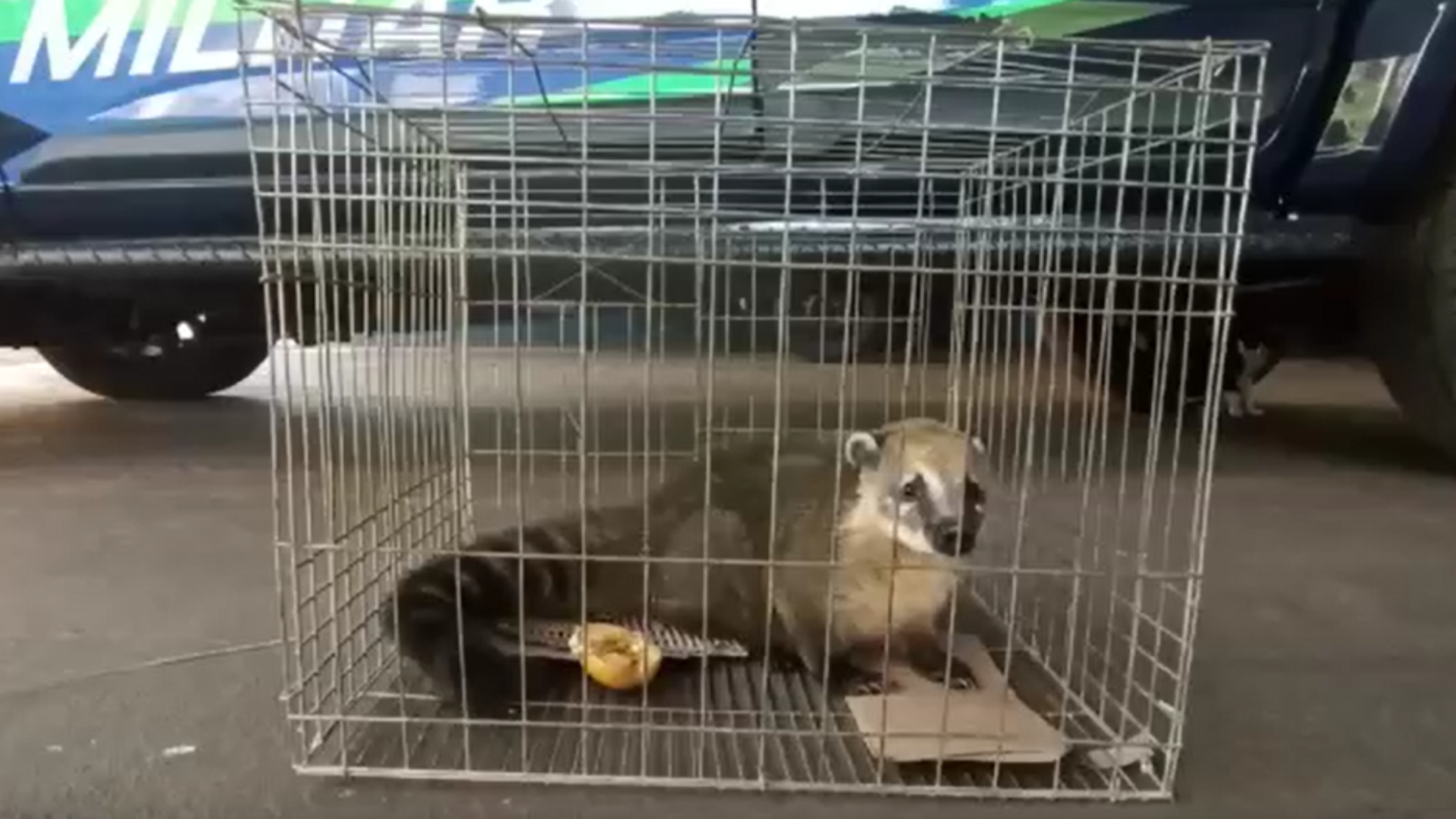 Collage-Maker-22-Apr-2023-07-56-AM-6865