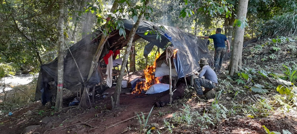 Ação causou prejuízo de 162 milhões de dólares aos narcotraficantes — Foto: Divulgação