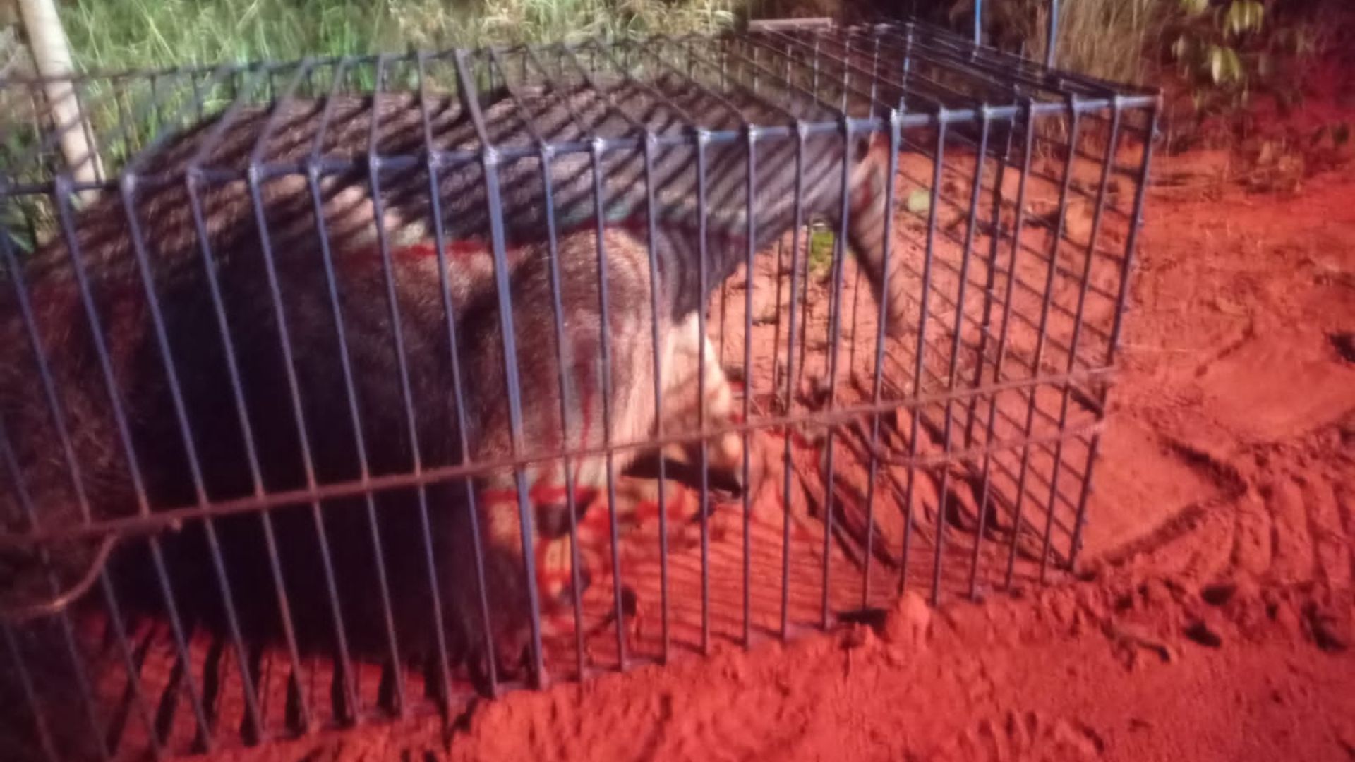 Design-sem-nome-2023-05-07T085046.529