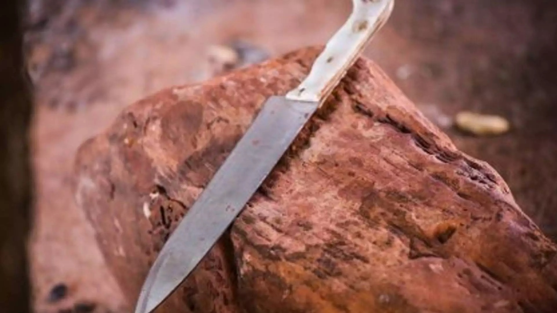 Collage-Maker-18-Jun-2023-09-27-AM-362 (1)