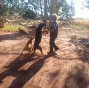 WhatsApp_Image_2023-07-06_at_16.17.21