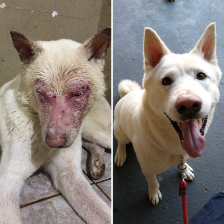 WhatsApp_Image_2023-08-04_at_10.31.41