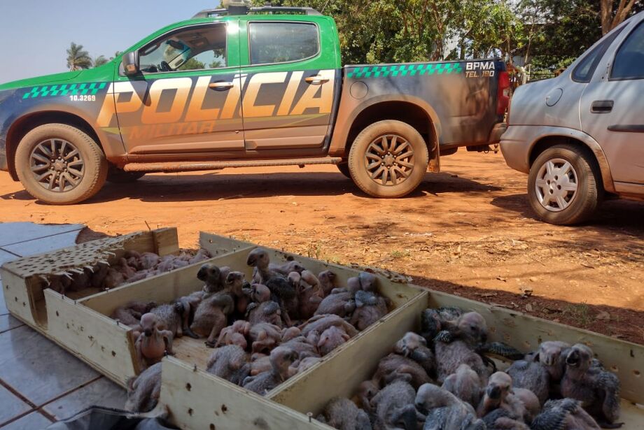 whatsapp-image-2023-09-17-at-122512-1