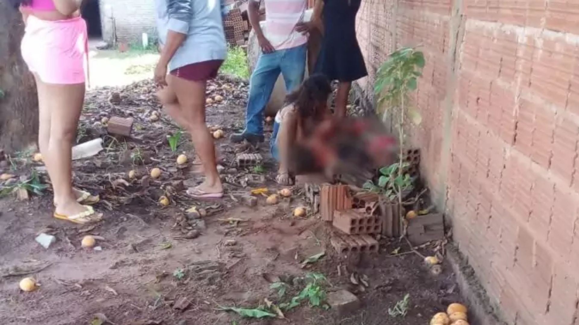 Canva-2023-11-25T104839.590