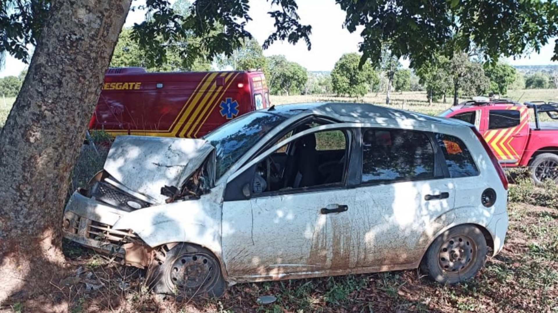 Design-sem-nome-19 (1)