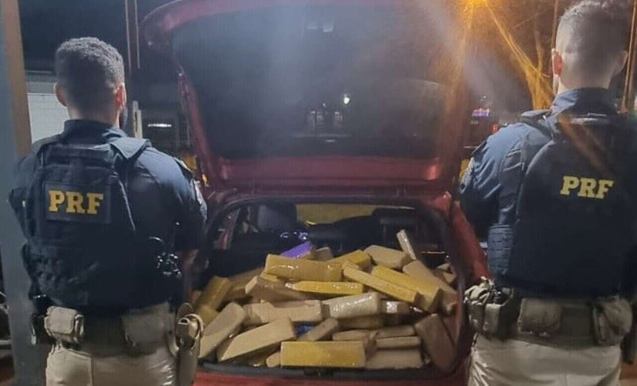 PRF-Nivus-maconha (1)