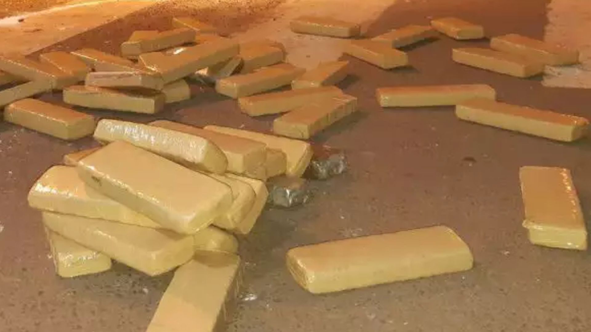 Canva-2024-01-30T081533.091