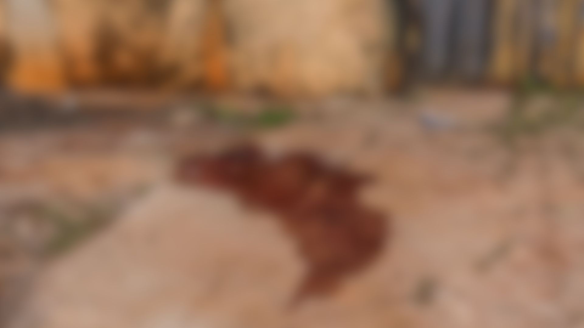 Morte-Caicara_Foto-Nathalia-Alcantara (3)