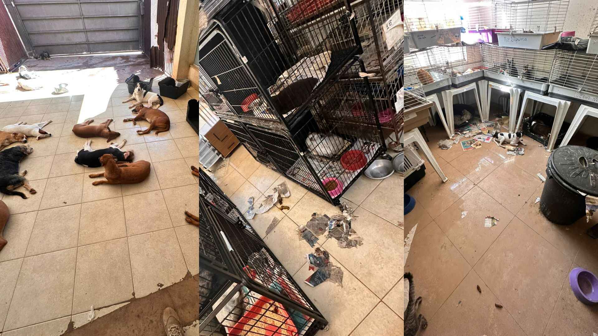 Design-sem-nome-2024-04-19T142527.623-1