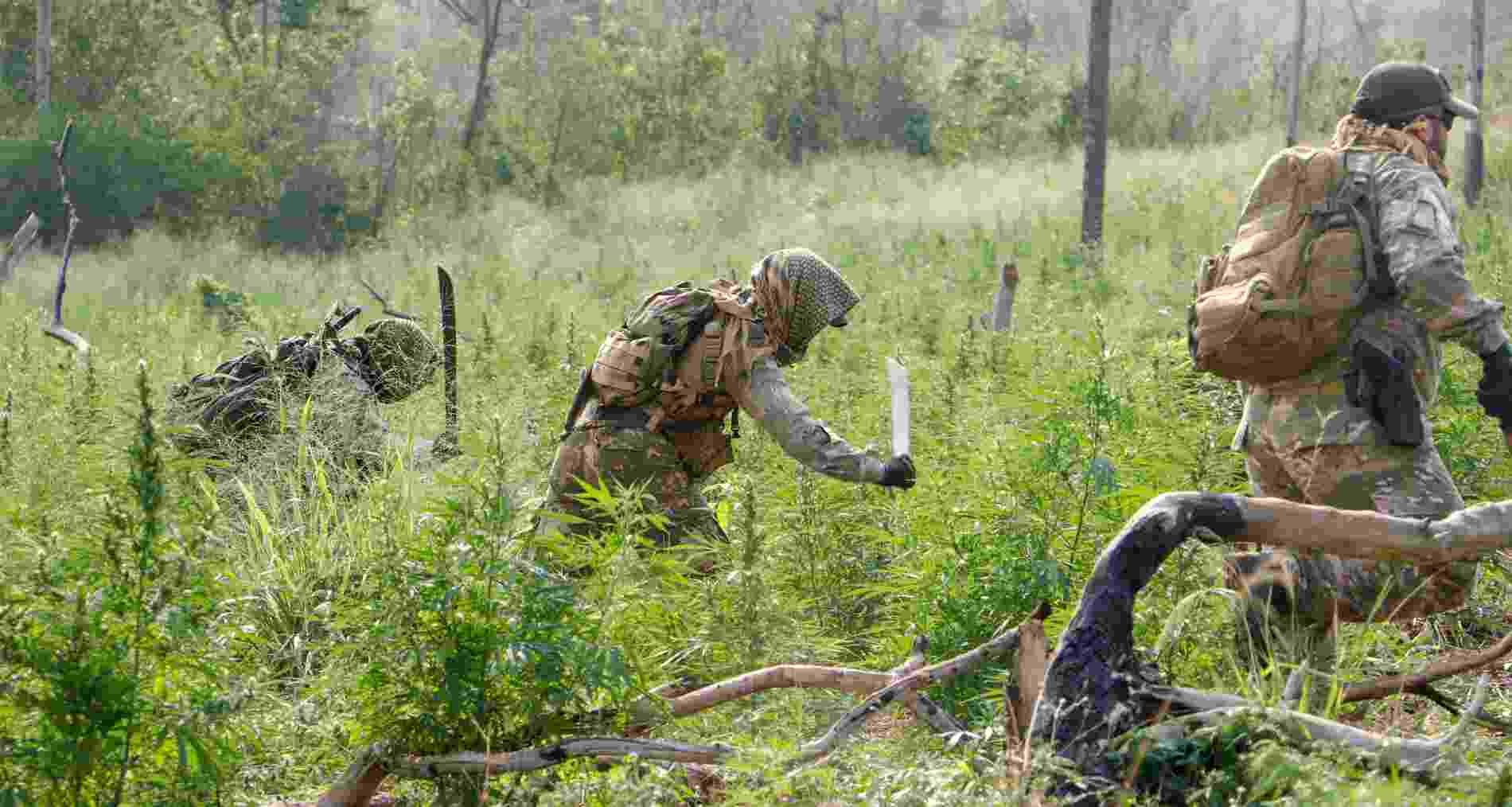 Senad-rocas-maconha- (1)