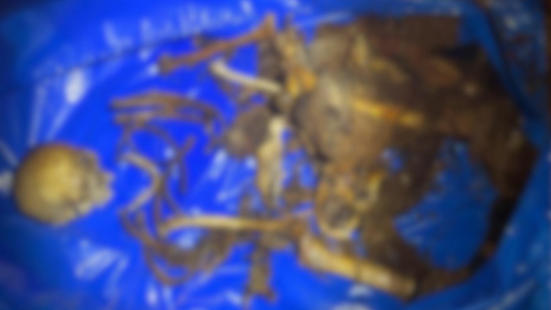 Canva-2024-07-09T071104.549