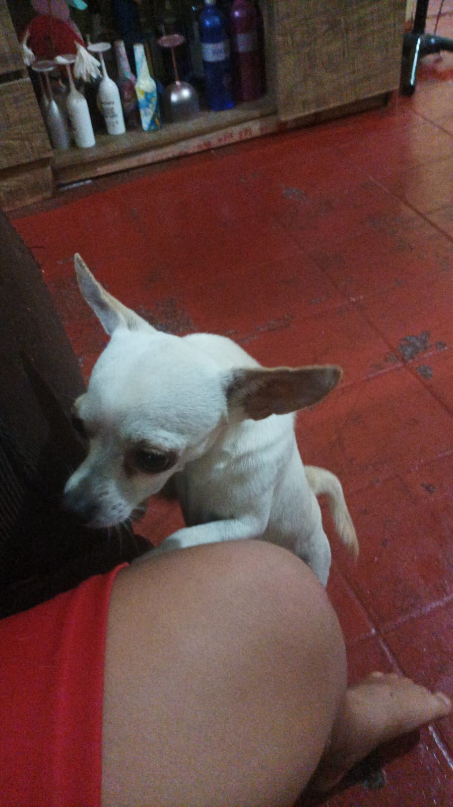 WhatsApp_Image_2024-07-05_at_14.41.29