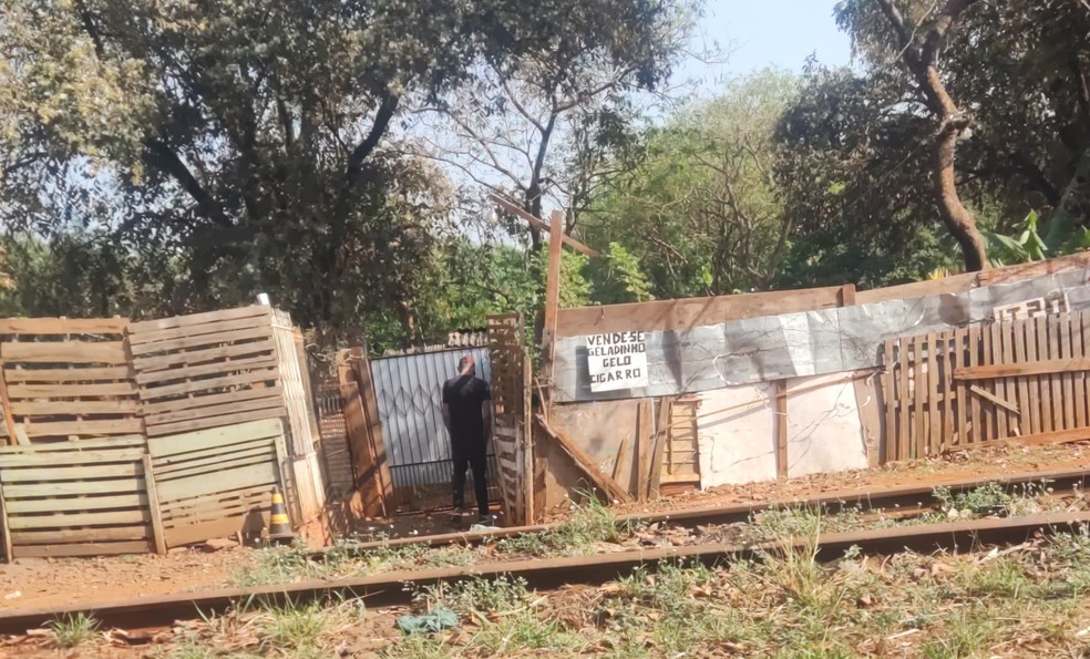 whatsapp-image-2024-09-03-at-08.28.04 (1)