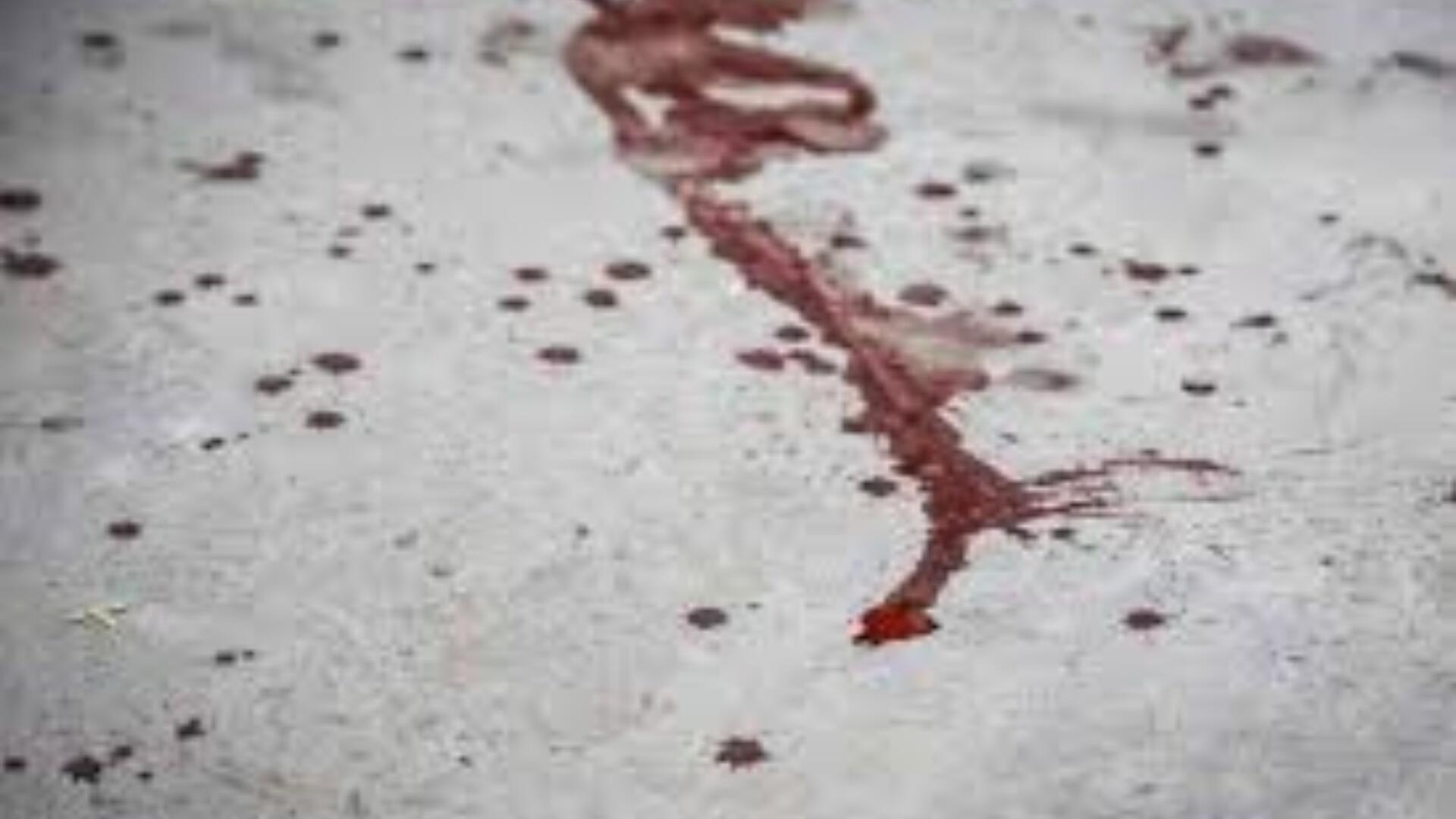 MixCollage-07-Oct-2024-06-46-AM-1042