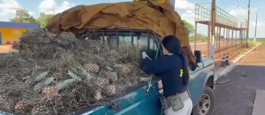 DM_20241125161806_001