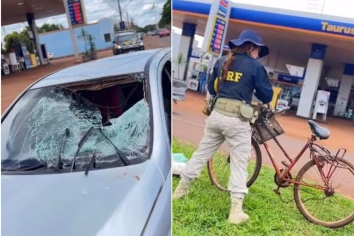 whatsapp-image-2024-12-26-at-132820