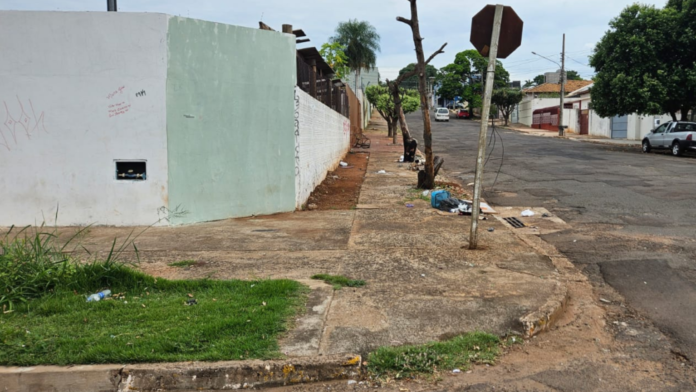 Canva-2025-01-04T083545.247-1536x864-1