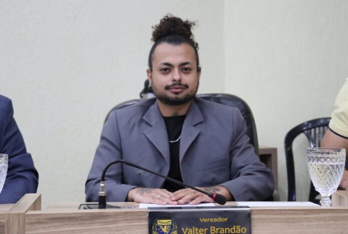 Captura de tela_25-2-2025_10716_cdn2.camarasgo.ms.gov.br