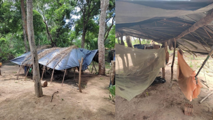 MIDIAMAX-2025-02-26T123030.720 (1)