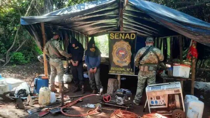 Senad-estufa-maconha-VIP