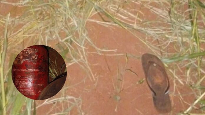 foto-2025-03-11T133131.417-1