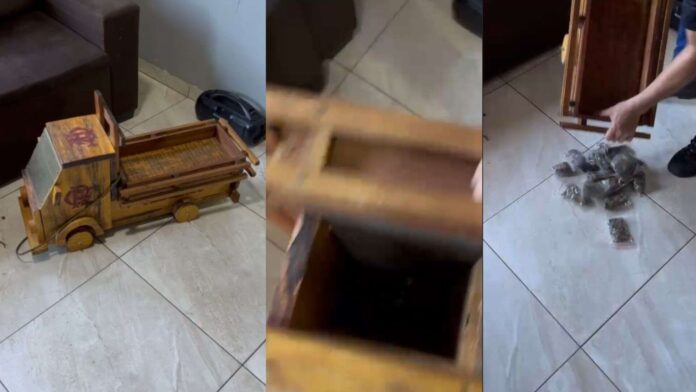 foto-2025-03-20T140133.909-1