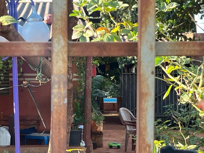 whatsapp-image-2025-03-20-at-16.09.01 (1)