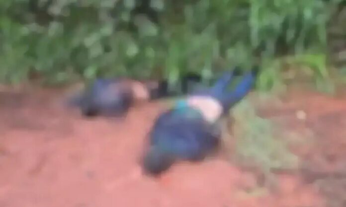 Corpos-na-fronteira (1)