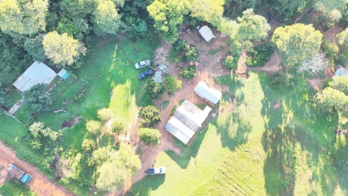 Design-sem-nome-1-5 (1)