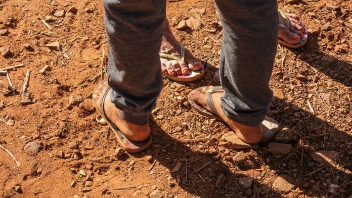 Design-sem-nome-2024-07-22T134627.807-1