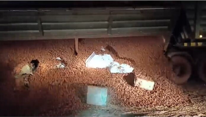 whatsapp-image-2025-05-11-at-13.56.10