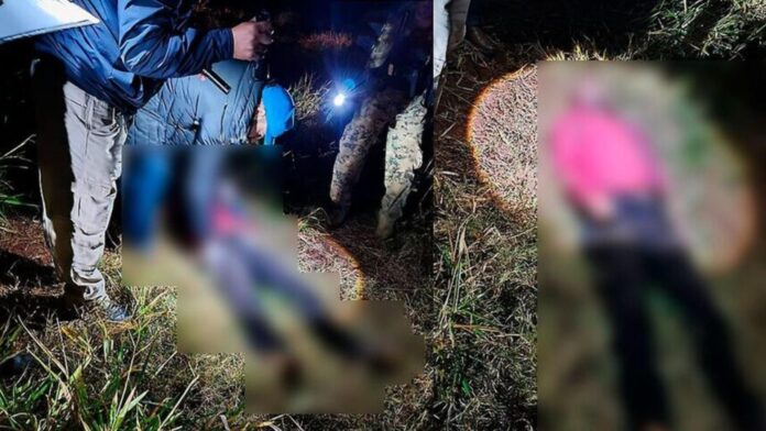 MixCollage-20-Jun-2025-02-16-PM-4053