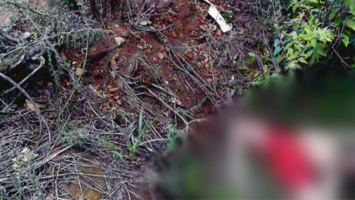 Corpo-de-Douglas (1)