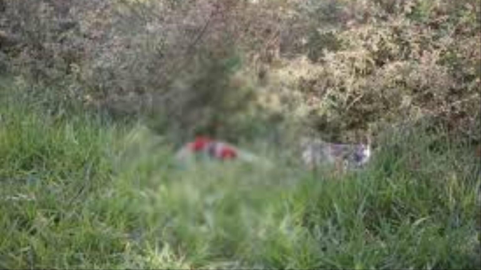 Encontrado morto em matagal do Itamaracá tinha cabelo de assassino nas mãos - A Rota da Notícia