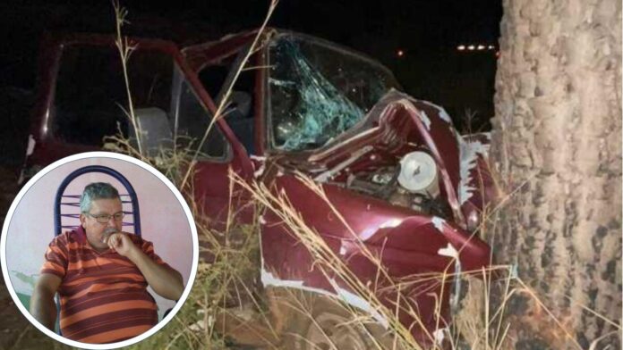 cachorro-encontrado-2 (1)