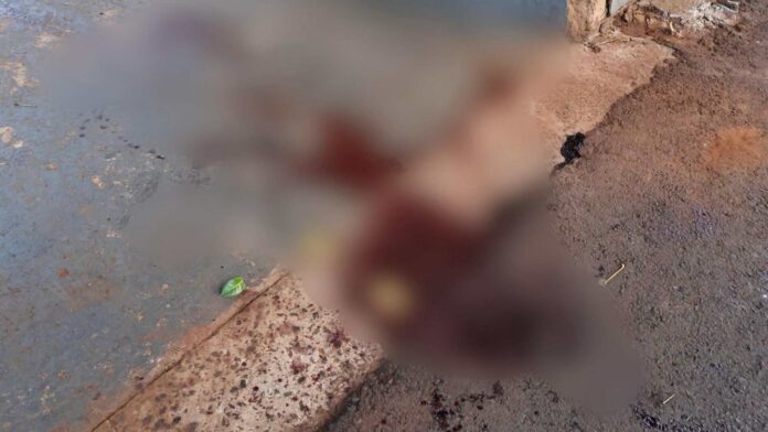 Design-sem-nome-2025-09-24T103 (2)