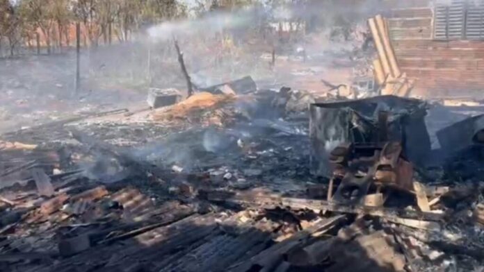 MixCollage-12-Sep-2025-10-45-AM-4499 (1)