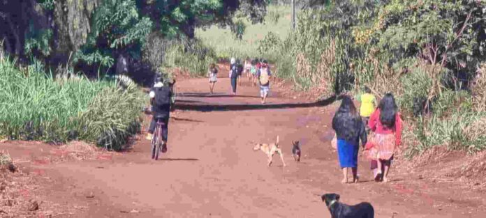 Indigenas-dourados-IBGE