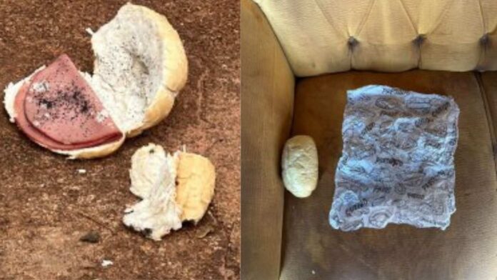 foto-2025-10-27T081207.072-1 (1)