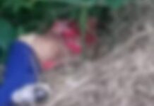 Mulher de 30 anos é encontrada morta em Maracaju; polícia investiga violência sexual