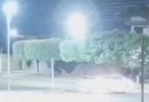 VÍDEO: Motociclista morre ao ser arremessado contra poste em acidente