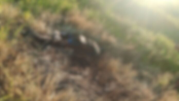 Design-sem-nome-2025-12-18T081247.324