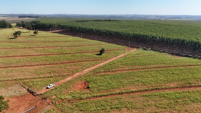 WhatsApp-Image-2026-01-12-at-09.09.55-1536x864