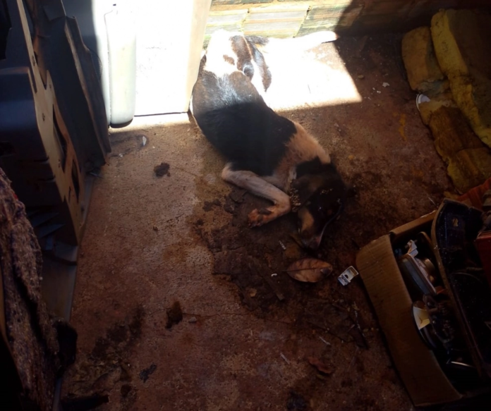 99b61a9342d8c45858d01e7097f0c73c_1