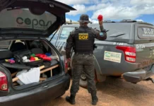 Casal é preso durante fiscalização na BR-487 com haxixe avaliado em R$ 700 mil