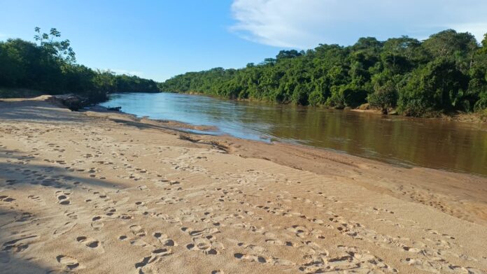 WhatsApp Image 2026-02-15 at 19.26.33